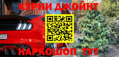 крисы Коммунар