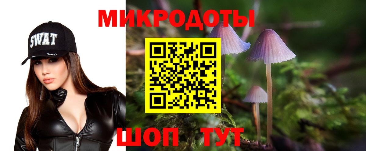 даркнет сайт  Вход с VPN  Шарыпово  Галлюциногенные грибы прущие грибы 